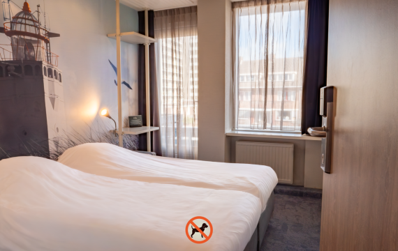 Budget kamer